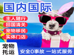 成吉思汗空运地址国际宠物托运 【国